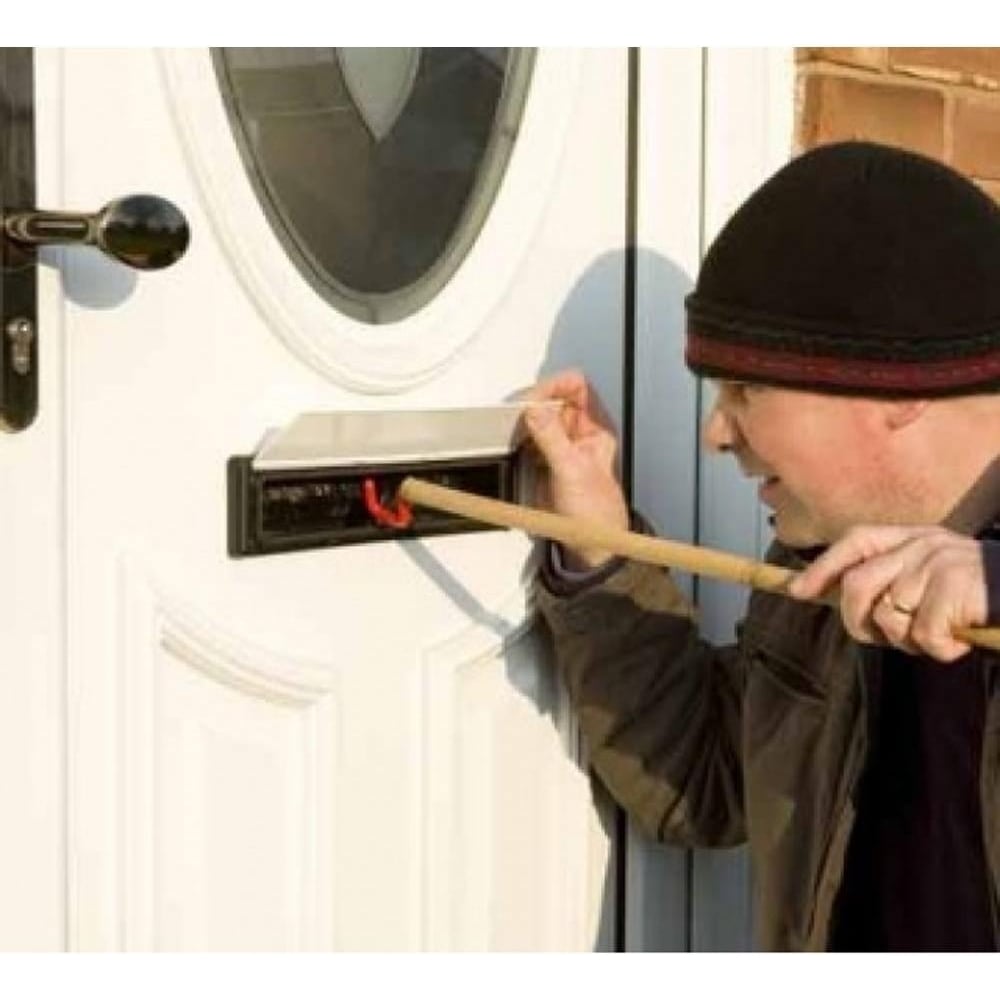 Do Burglars Strike Twice?