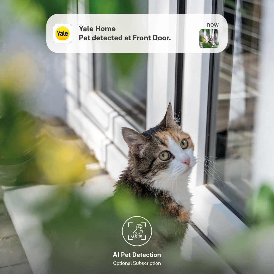 Yale Smart Outdoor Camera AI pet detection monitoring cat near window