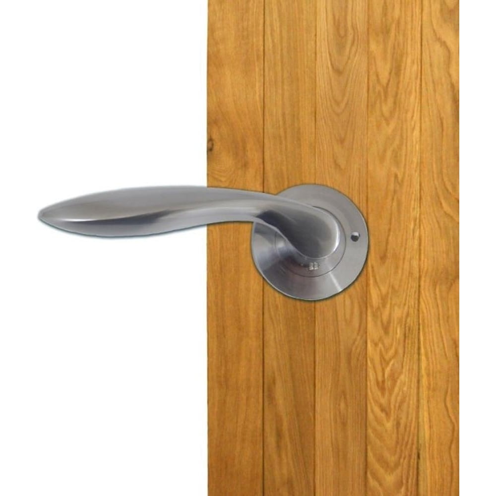Sleek, modern silver door handle with a curved ergonomic design mounted on a light wooden door. The handle has a circular base plate attached to the door surface. The overall look is minimalist and contemporary.