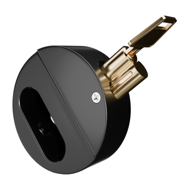 ASEC garage door defender black padlock close-up