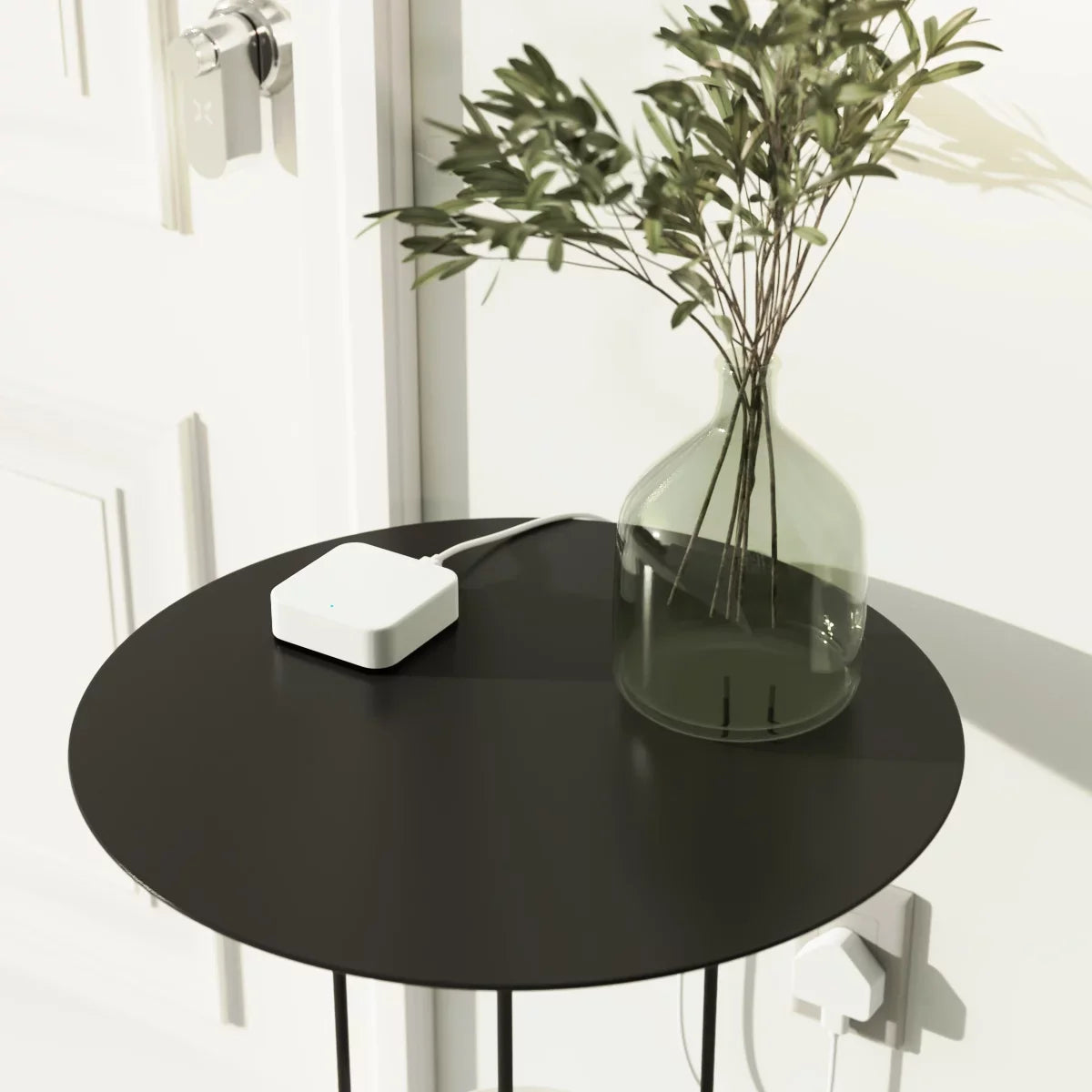 Black round table with a white device and a glass vase with greenery on a white background
