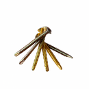 Gold-colored self tapping screws on a white background