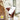 Yale Doorbell Chime paired with the Yale Smart Video Doorbell