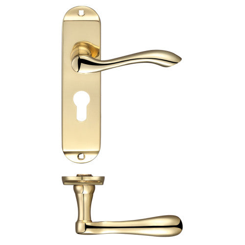 ZOO Arundel Lever - Euro Lock - FB021EP