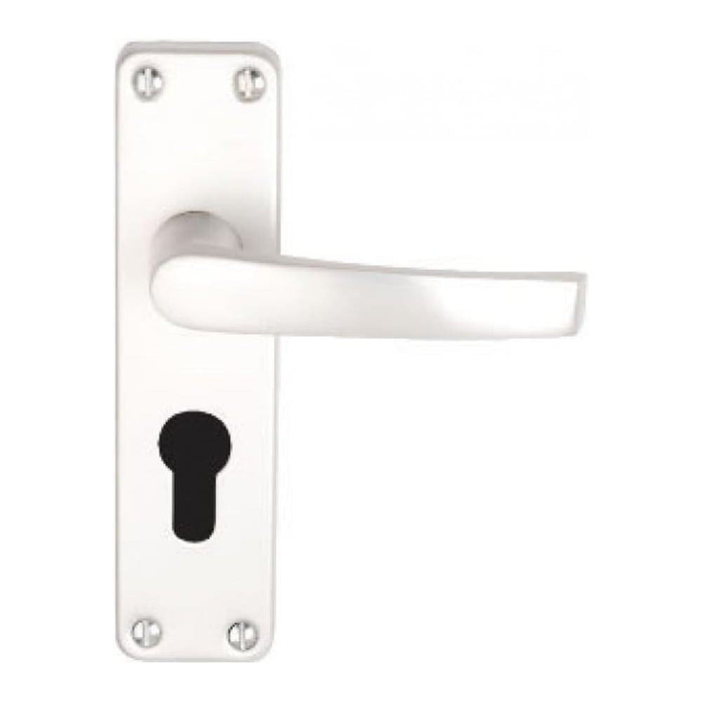 Aluminium internal door handle with lever on backplate featuring an oval Euro keyhole profile for cylinder locks.