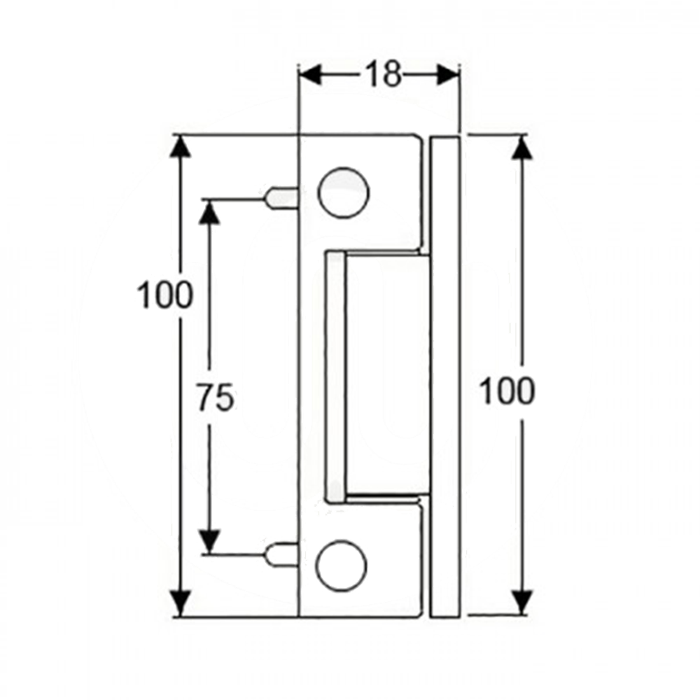 Technical drawing of a surface-mounted hinge with overall dimensions of 100mm height and 18mm width. The hinge features two mounting pins and a central cut-out section measuring 75mm in height